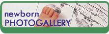 Newborn Photo Gallery