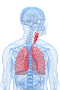 Lung Services